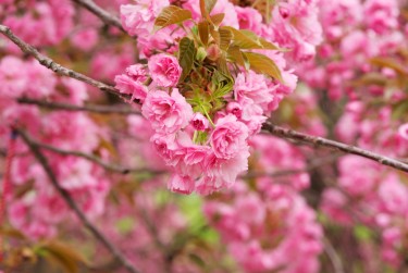 温州乐清9线下个人借款平台一站式服务，轻松解决资金难题