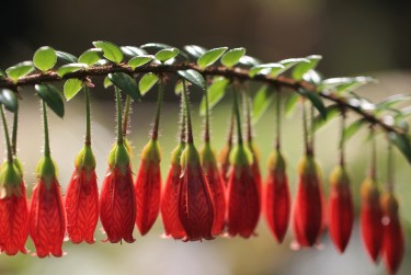 温州乐清9零用贷短借：轻松解决临时资金需求