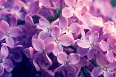 温州乐清9企业急用钱贷款攻略：快速融资解燃眉之急